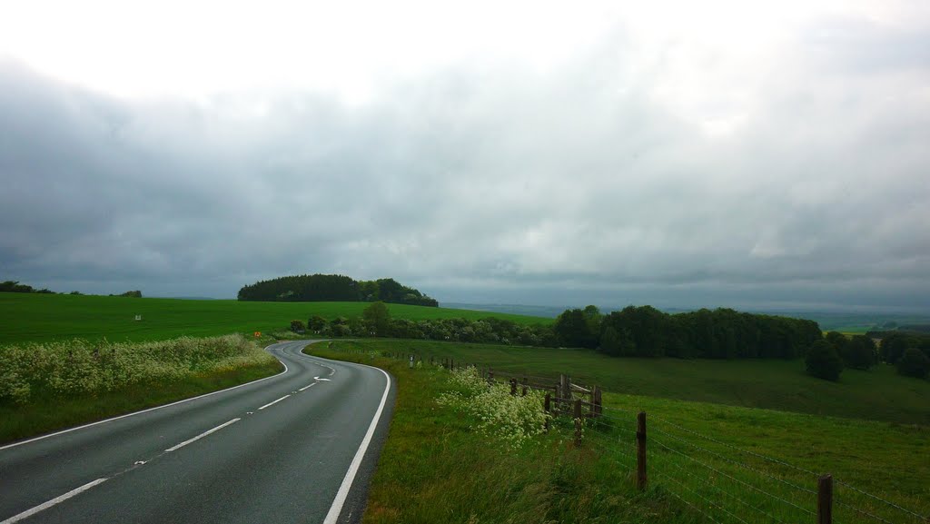 A272 near Cheesefoot Head by Doc_KB1974