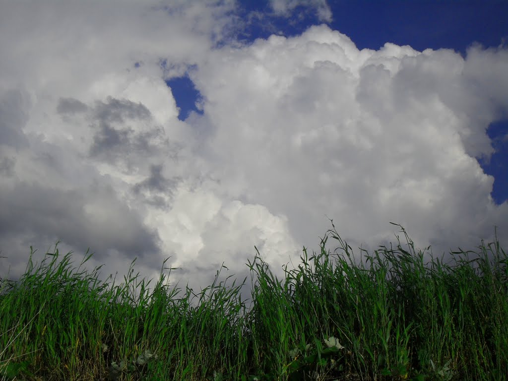 Schneeweiße Wolken (28.05.10,FR) by SebastianWE