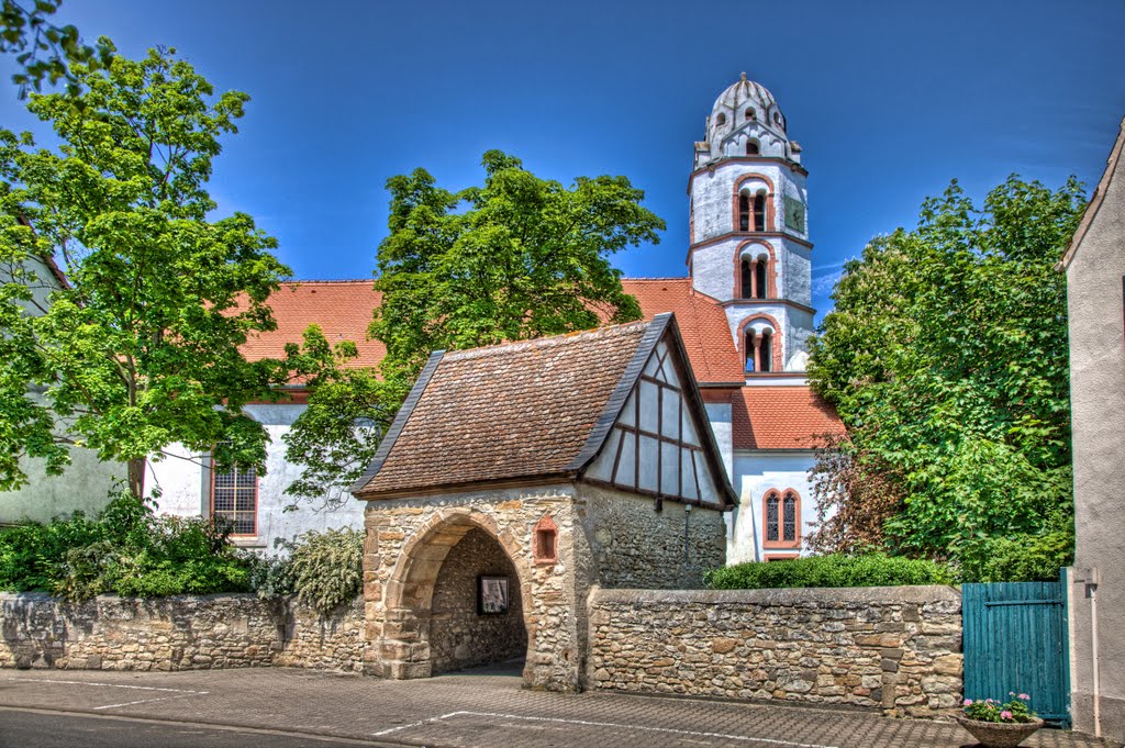 Dittelsheim by Martin Fry