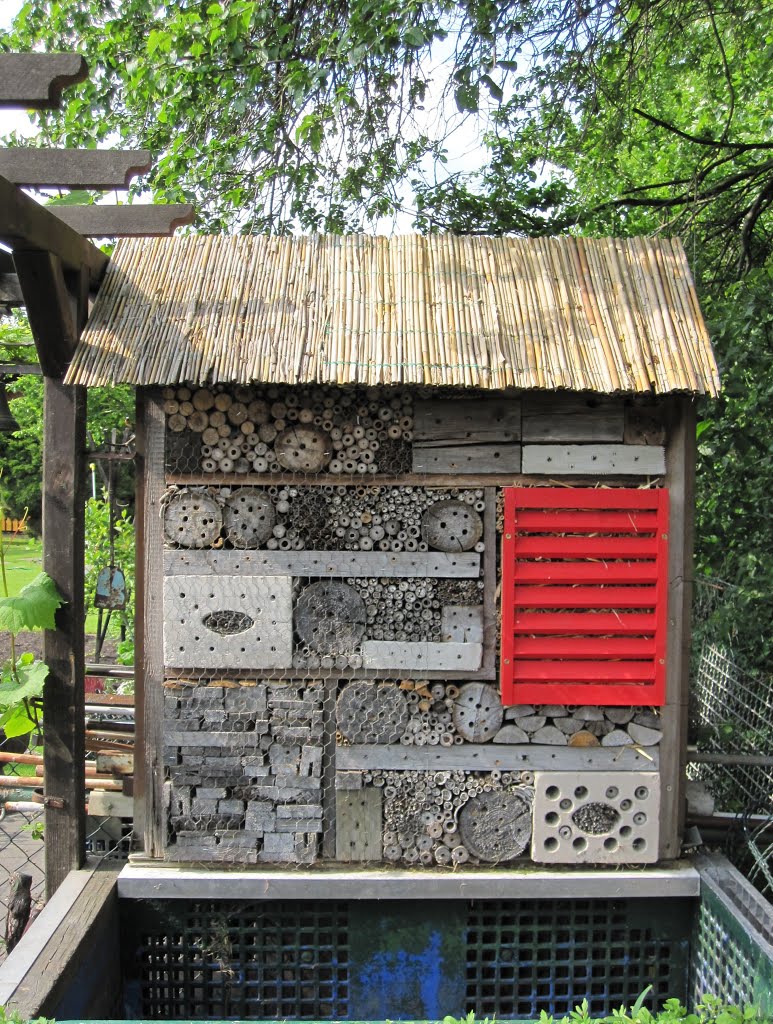 Frühsommer im Insekten-Hotel by Karl-Heinz Bassemir