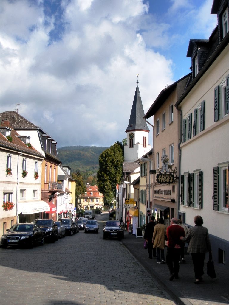 Königstein - im Taunus, Germany by Mohannad Abu Kharma