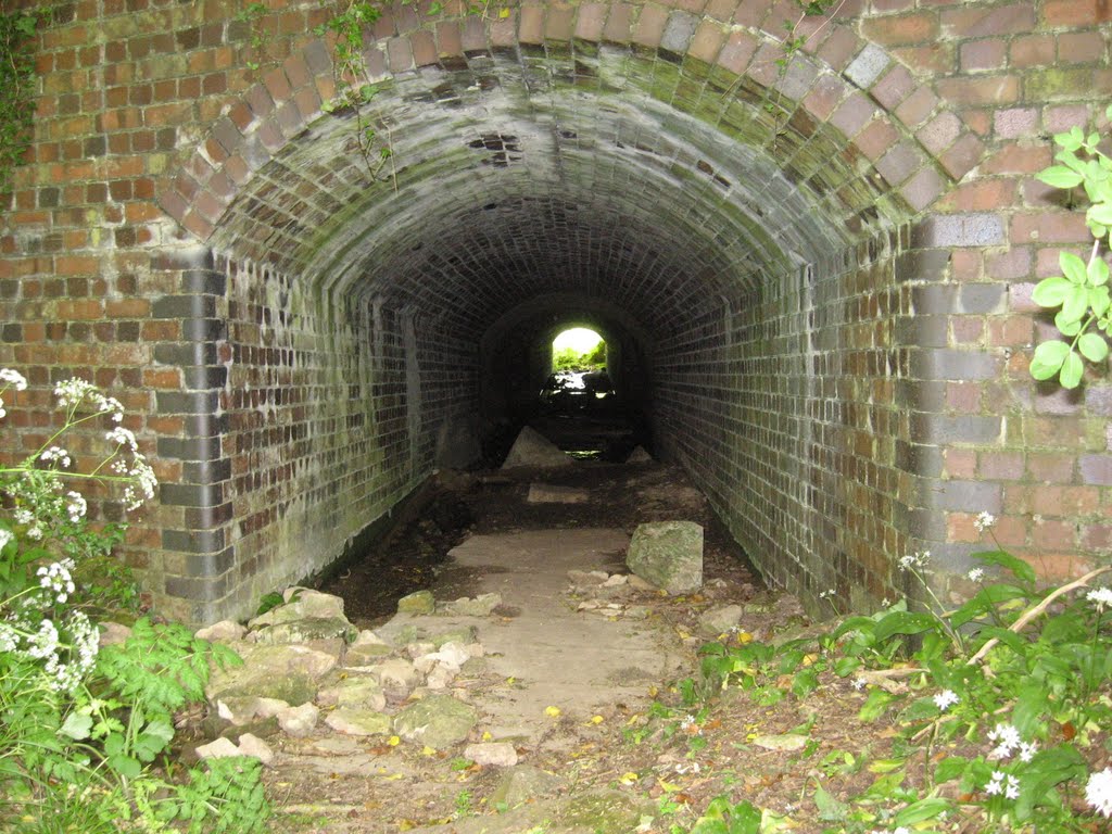 Culvert under Combe Hay Aqueduct. by Bob&Anne Powell