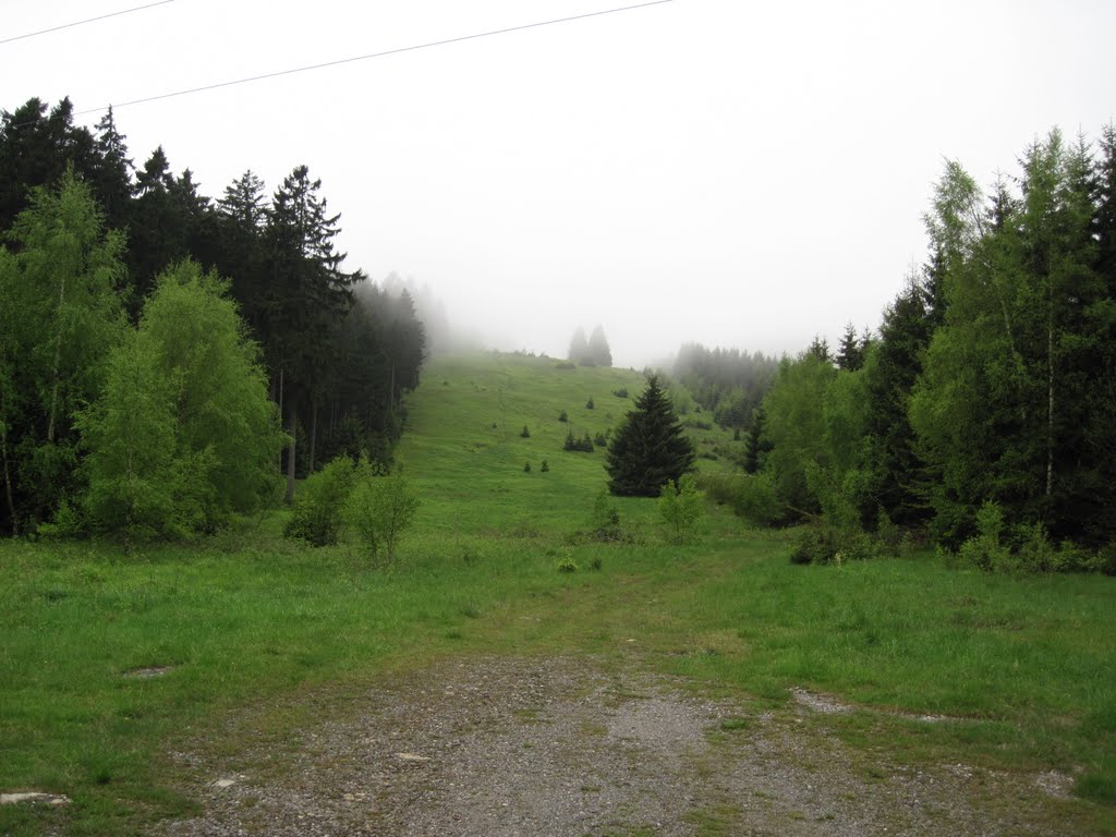 Blick zum ehemaligen Skihang, Ende MAI by schibo