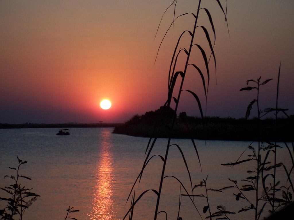 Sunset at Chobe by merlinthewizard