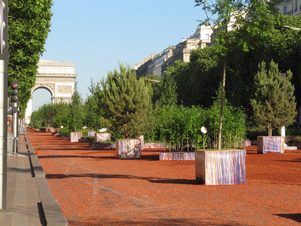 France, Give space to bees butterflies ands birds in the city by ad vitam et terrae nobilis