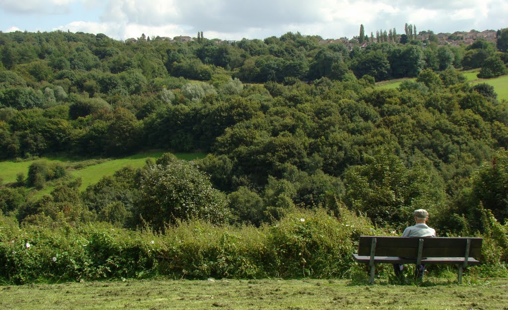 Admiring the view of the Rivelin Valley 2, Sheffield S6/S10 by sixxsix