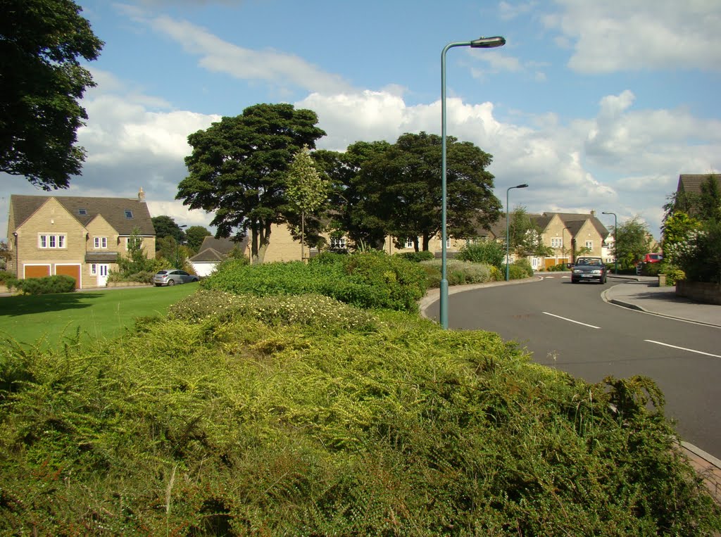 Looking over shrubbery towards Balmoral Crescent and Harlech Close houses, Lodge Moor, Sheffield S10 by sixxsix