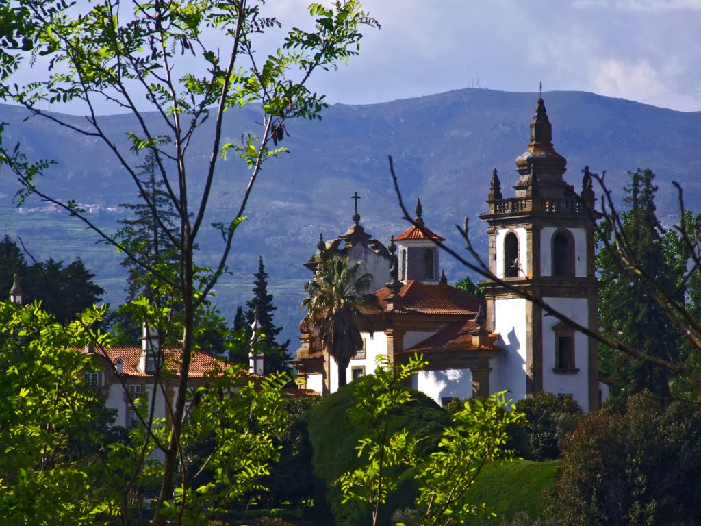 Mateus palace by F.Azevedo