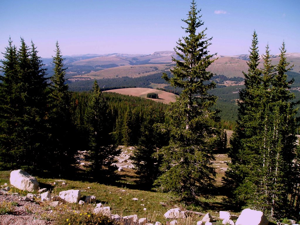 Bighorn Mountains near Medicine Wheel by Vasily  Vlasov