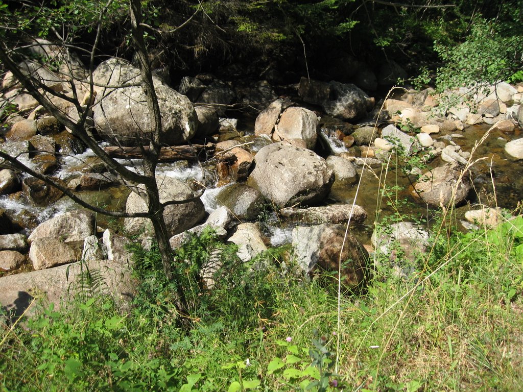 Rayon Vitosha, Bulgaria by svilendotorg