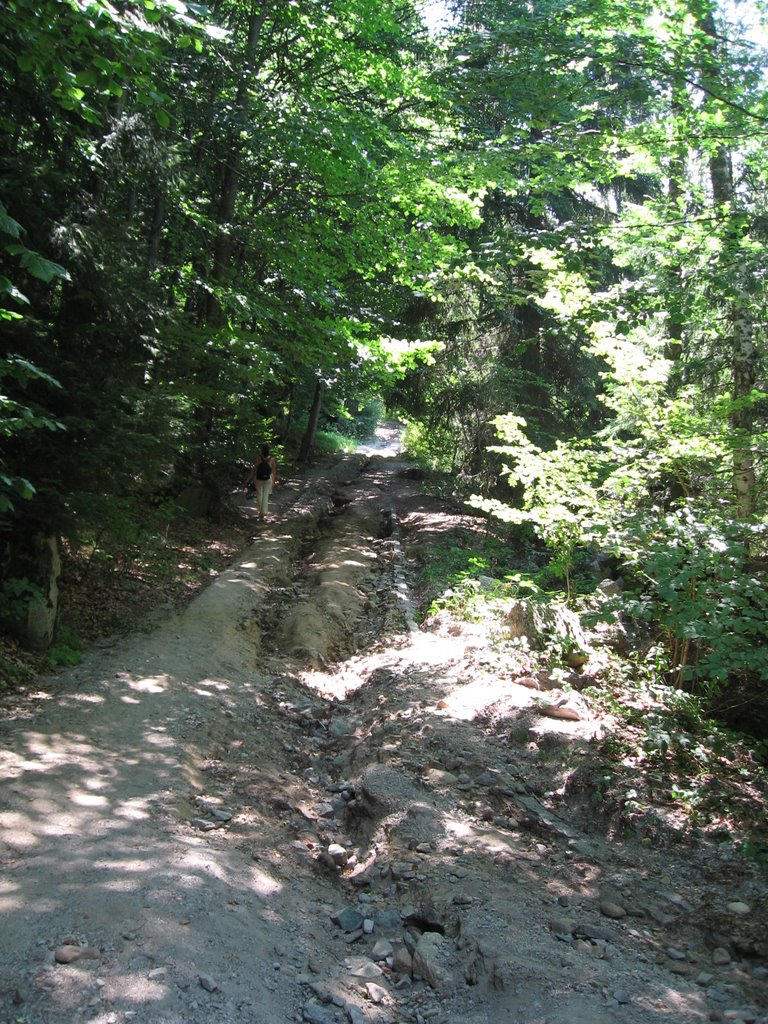 Rayon Vitosha, Bulgaria by svilendotorg