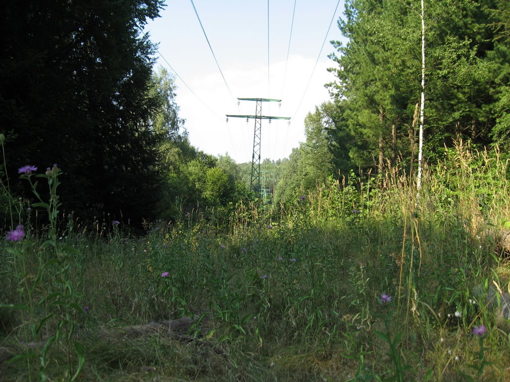 Rayon Vitosha, Bulgaria by svilendotorg