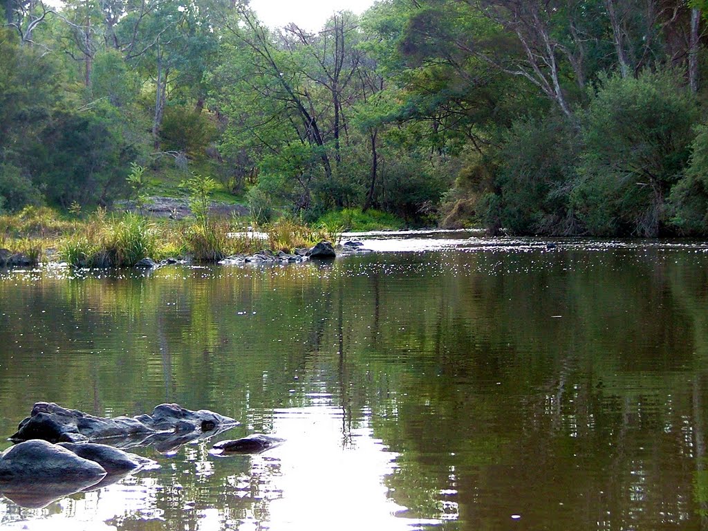 Abbys swimming hole @ yarra river - Bourchiers rd, kangaroo ground by innadver