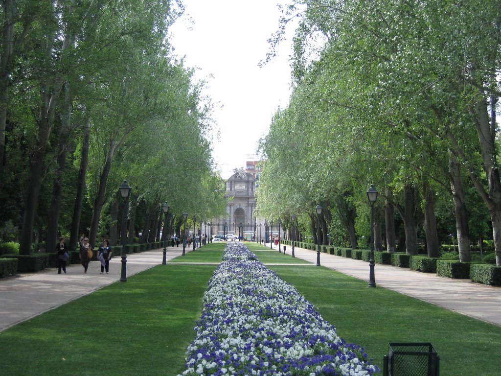 Avenida de Mejico by horst-ewald