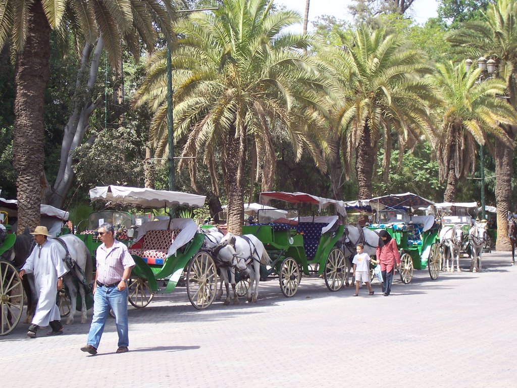 RUE EL KOUTOUBIA by NEBLUSIN