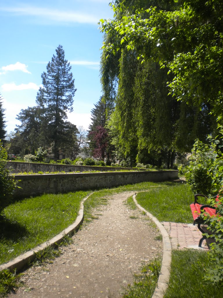 Curtea de Arges - parc by Alin Sandulescu & Don Bebino