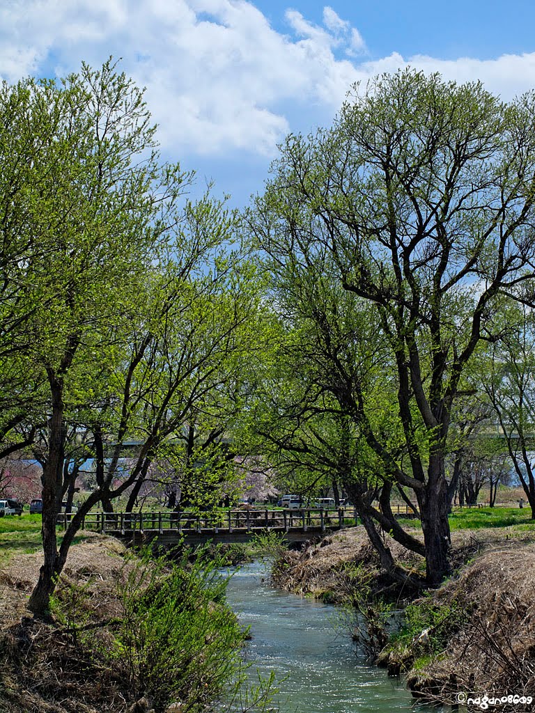 Matsukawa river 松川 by nagano8609