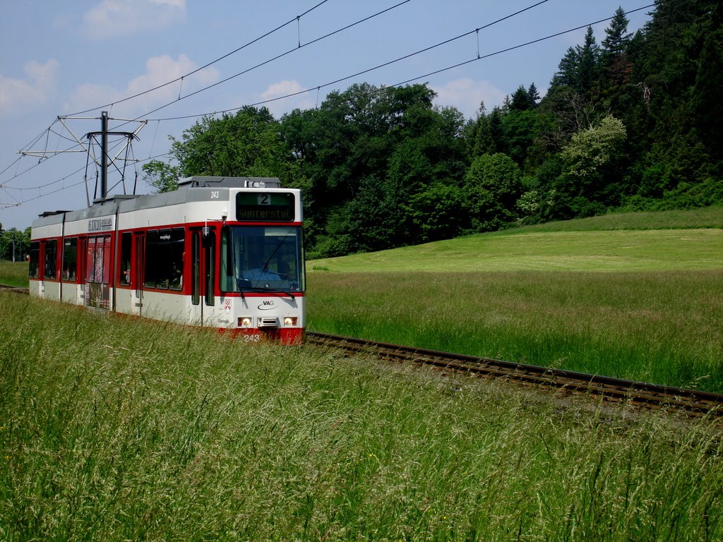 Typical Freiburg scene - tram (Strassenbahn) in Günterstal by argo2