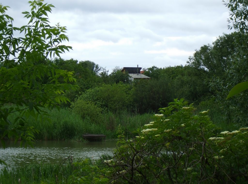 201005311323 Látkép a soroksári partról a Felső-Dunasor mentén by Harmadik