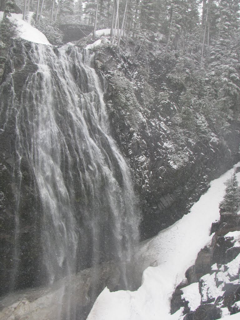 Narada Falls in Spring by Todd Stahlecker