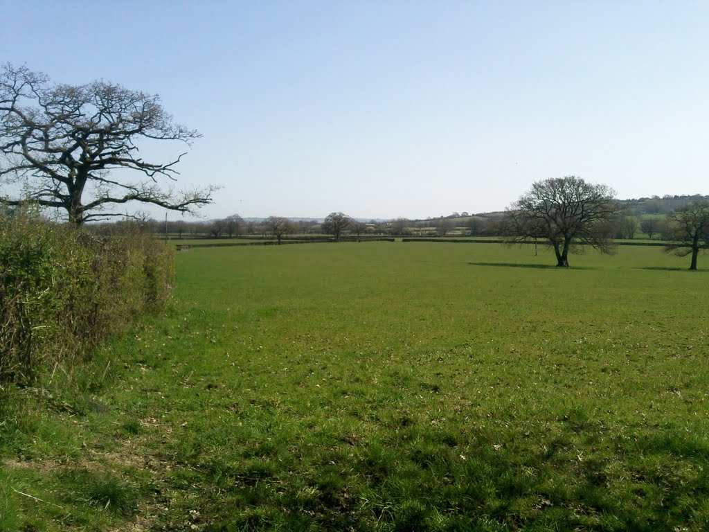 Near Pound Farm, Braydon by RJM666