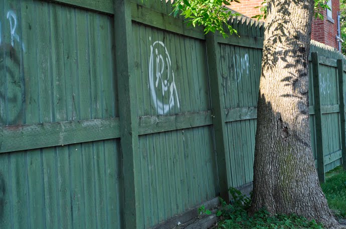 Graffiti fence and tree shadows by daicrinne