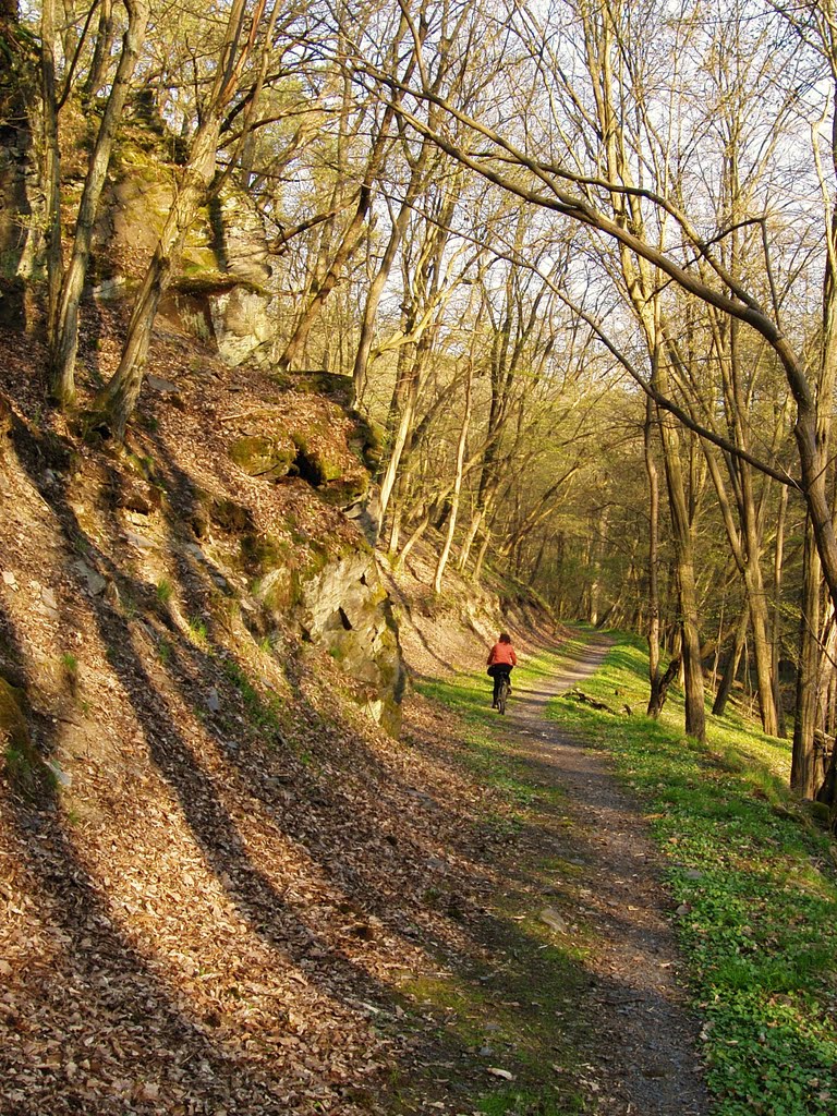 Stezka podél Vuznice z Jenčova k Nižboru - Trail along Vuznice creek from Jenčov to Nižbor by Tomas K☼h☼ut