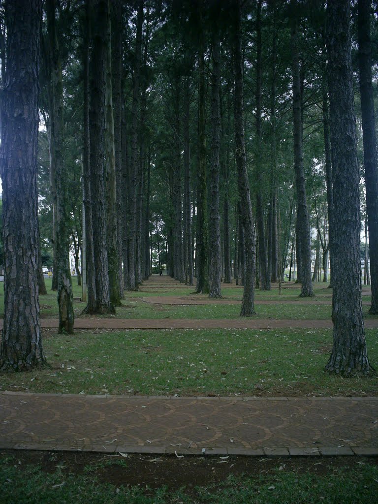 Seminário N.Sra. de Fátima e o caminho by udlutl