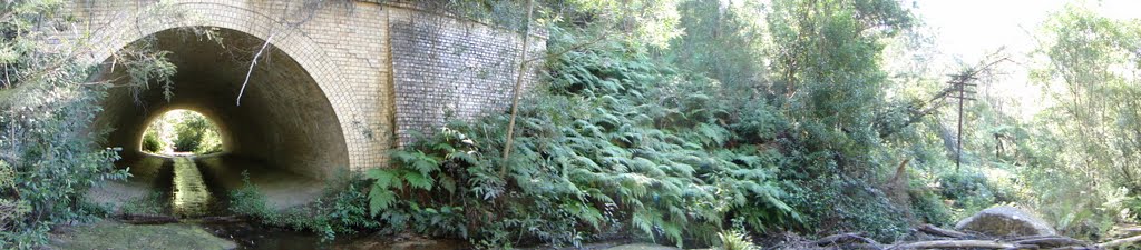 Creek under The Old Single Line. Telegraph Line on the right by Adrian Lehmann