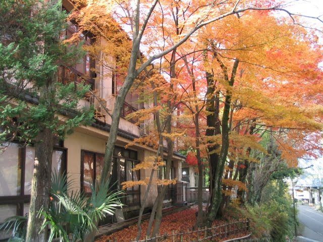 文人の宿「柳水園」 by mitakakiiitaka