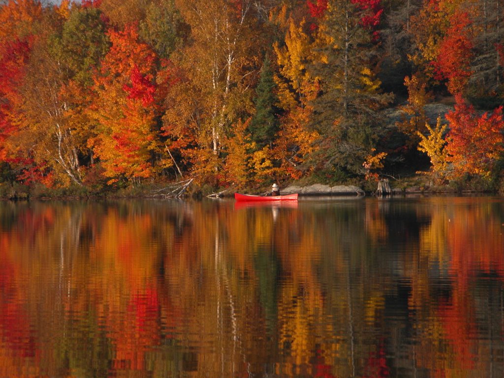 Fall Colours on Smith Bay by Juris Jankevics