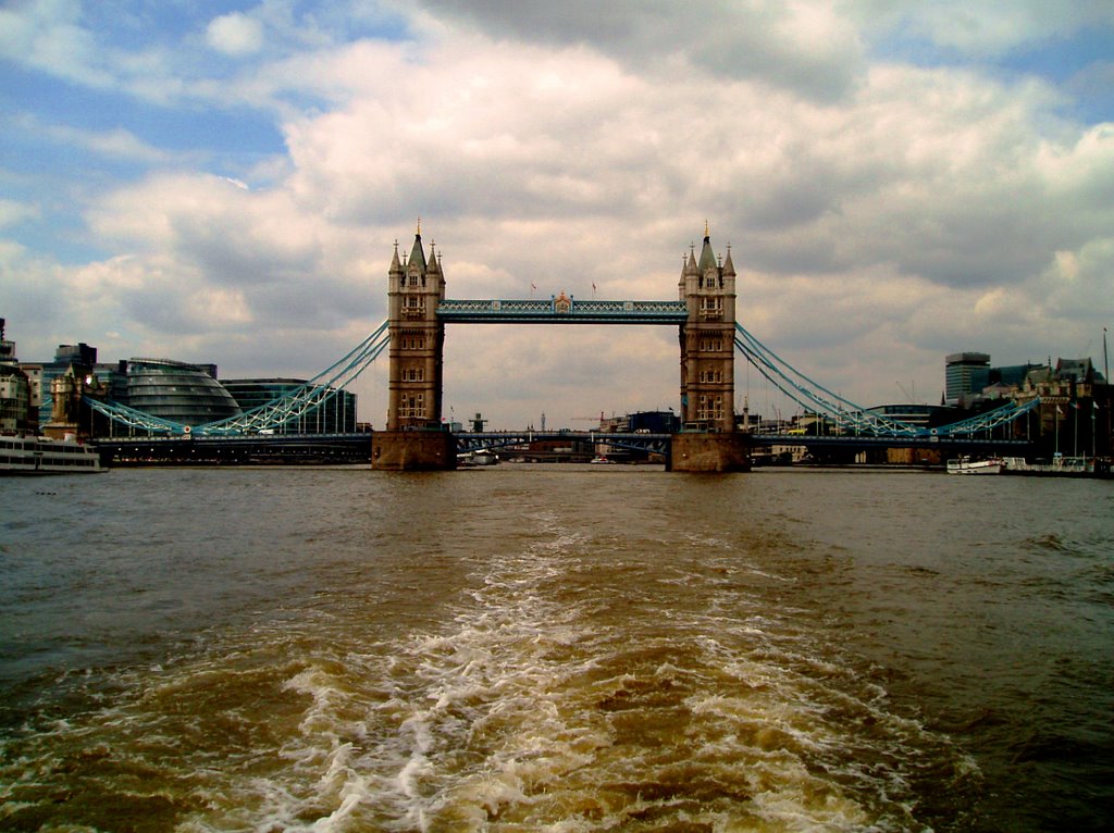 Tower Bridge by Vasily  Vlasov