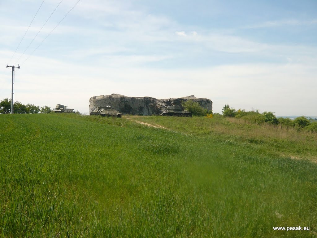 Areál čs. opevnění Hlučín-Darkovičky by Alexander Duricky