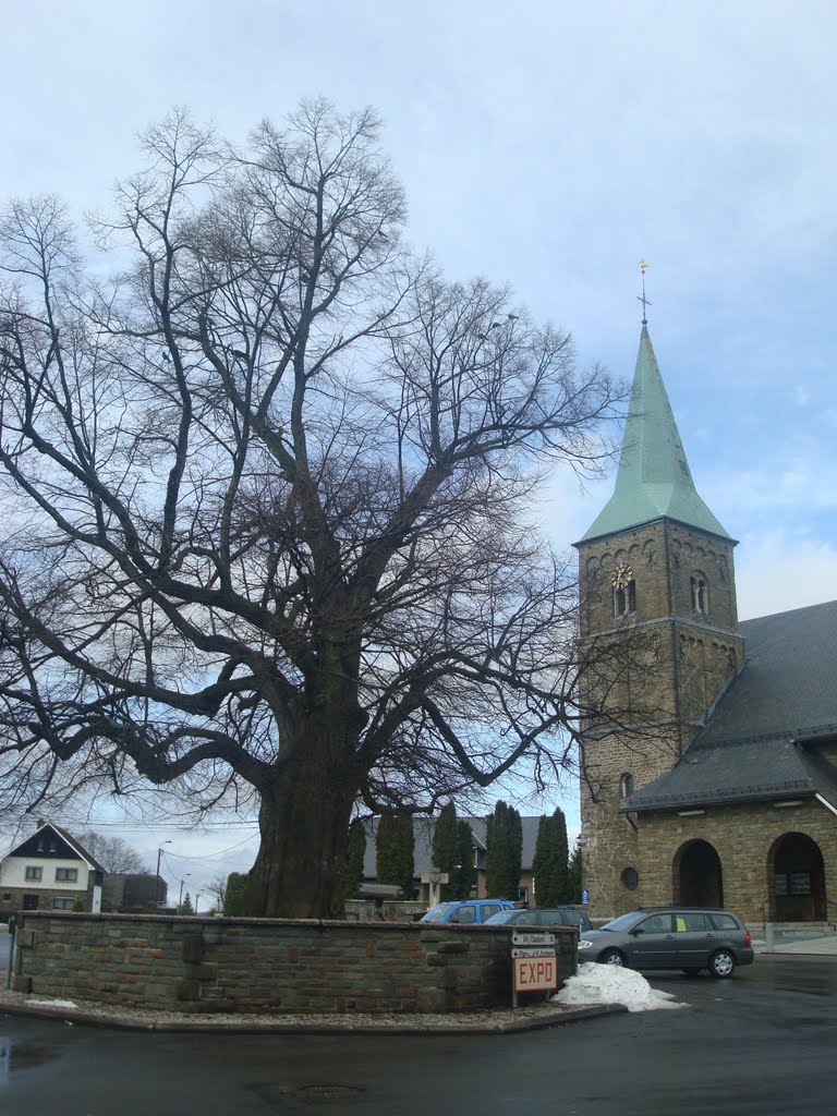 Eglise et tilleul de Weywertz by okapi07