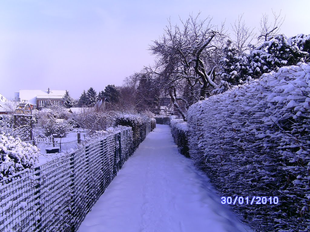 Schrebergärten in Garstedt im Winter by Der Naturmensch