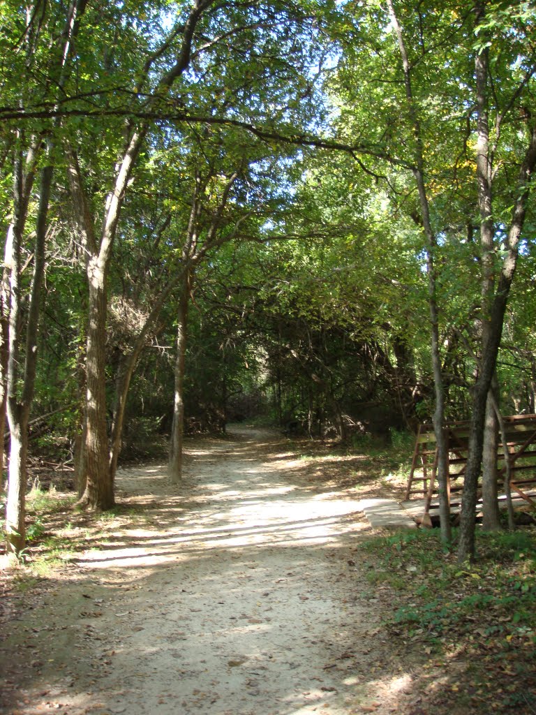 Little Bear Creek Nature Trail by papanana