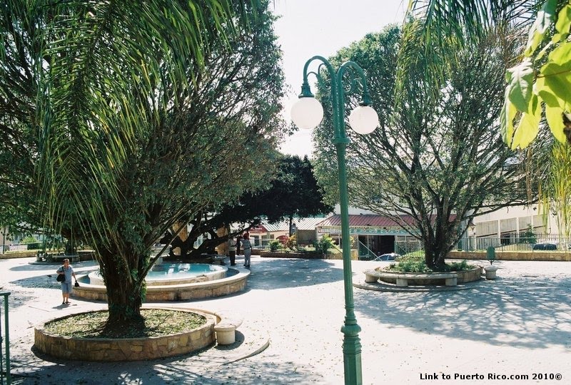 Plaza de Recreo de Aguas Buenas by joe_del