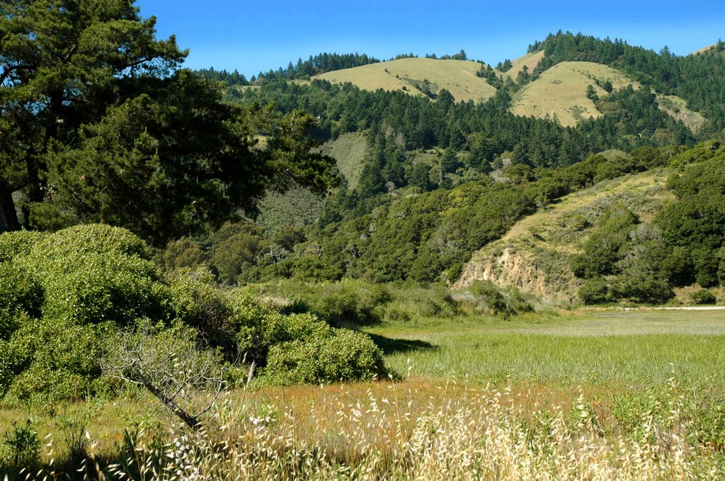 Bolinas Lagoon and Marin Hills by M Jack