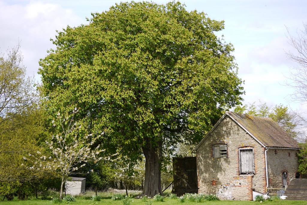 Elfords Barn by nickdarley