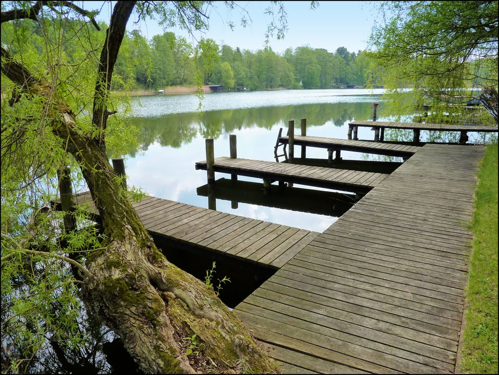 Am Kleinen Glubigsee in Wendisch Rietz im Landkreis Oder-Spree in Brandenburg by Ralf Pätzold, Berlin