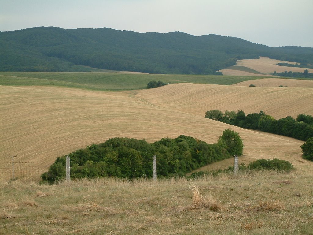 Pohlad juzne od Hubiny by Marián Hubinský