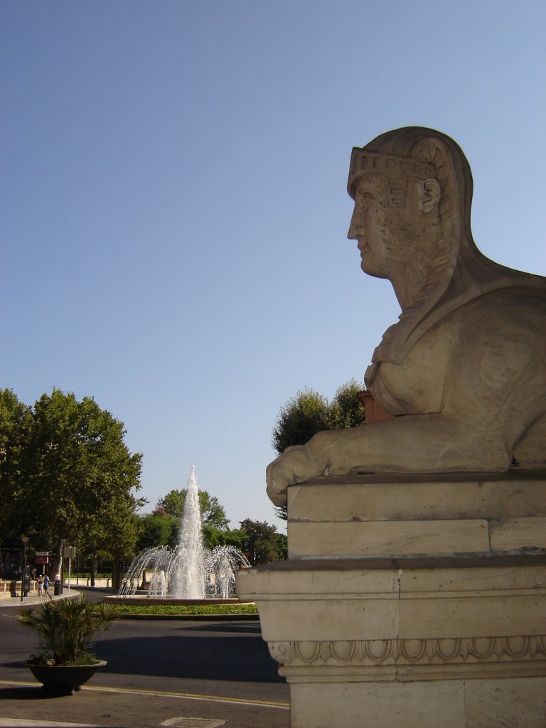 Plaça de la Reina by Marga Obrador