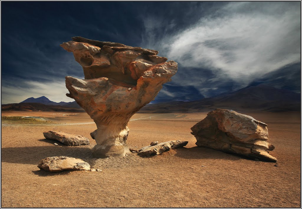 El árbol de piedra. Bolivia. by Vladimir Minakov