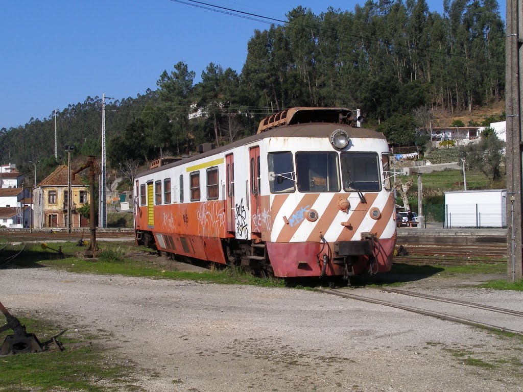 Sernada da Vouga Railway Depot by Howard C. Harrison