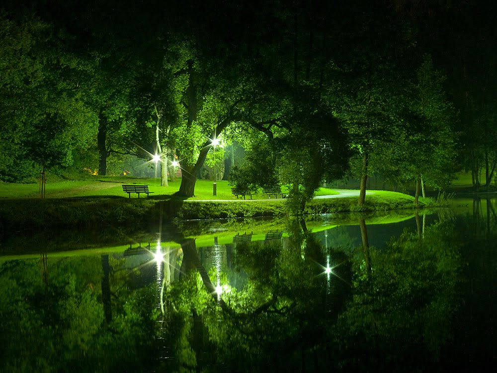 Lithuania at night, Green summer by zmogelis