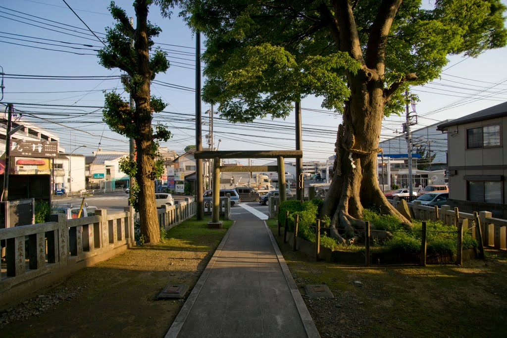 平戸白旗神社境内より、平戸交差点を望む by balsa a1