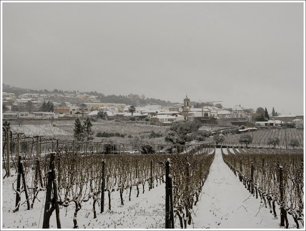 Sabrosa - Douro vineyards with snow by João Prates