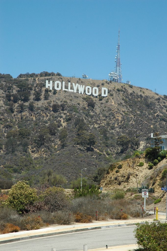 Les lettres Hollywood by Martin Couture