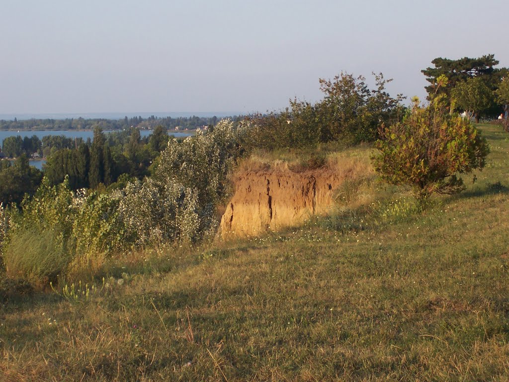 Balatonföldvár. Homokfal tetején by Bocskai László