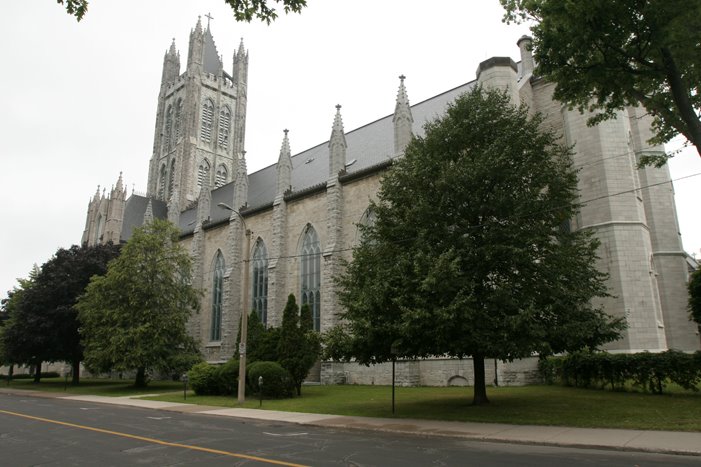 St. Mary's Cathedral, Kingston by starbucks